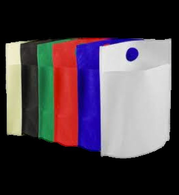 Bolsa Ecológica